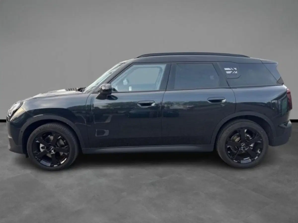 MINI Mini Countryman usata a Verona (3)