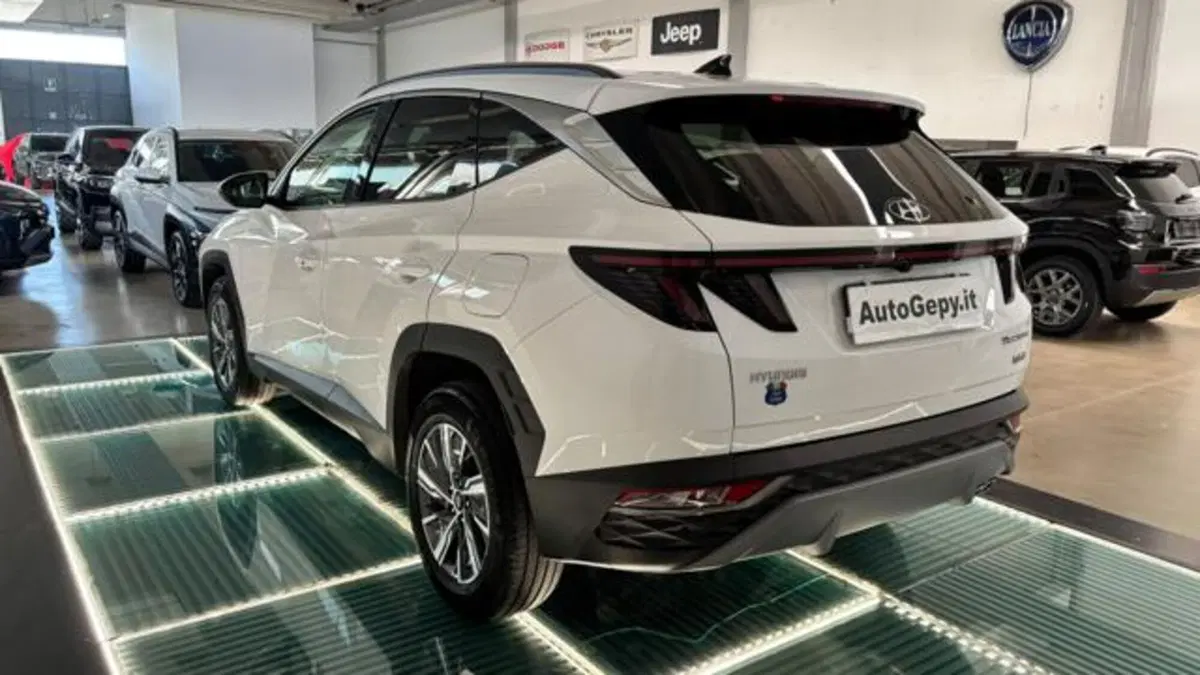 Hyundai Tucson usata a Reggio Emilia (4)