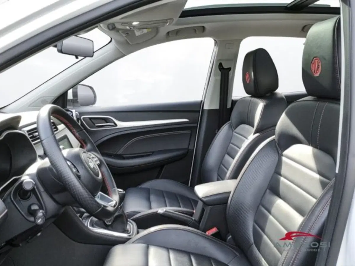 Mg ZS usata a Perugia (9)