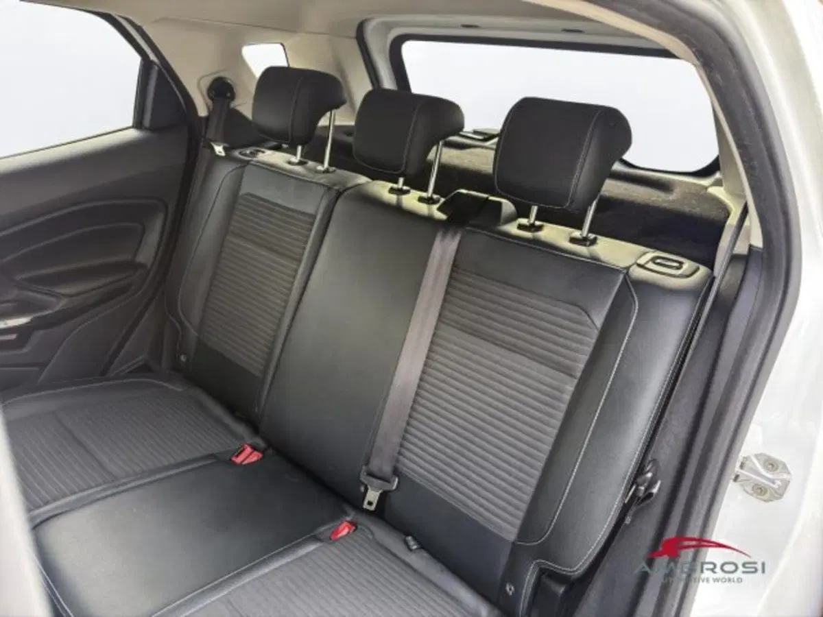 Ford EcoSport usata a Perugia (10)