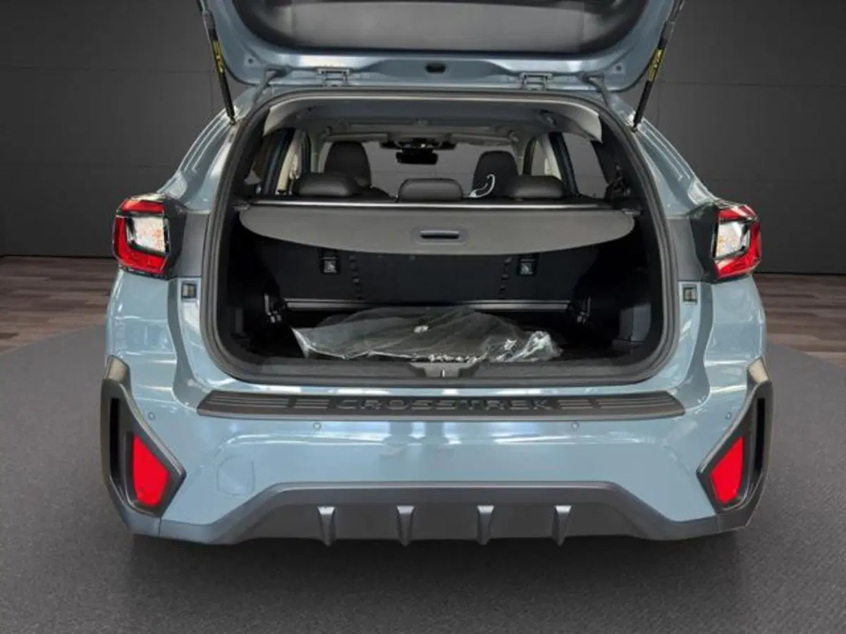 Subaru Crosstrek usata a Milano (14)