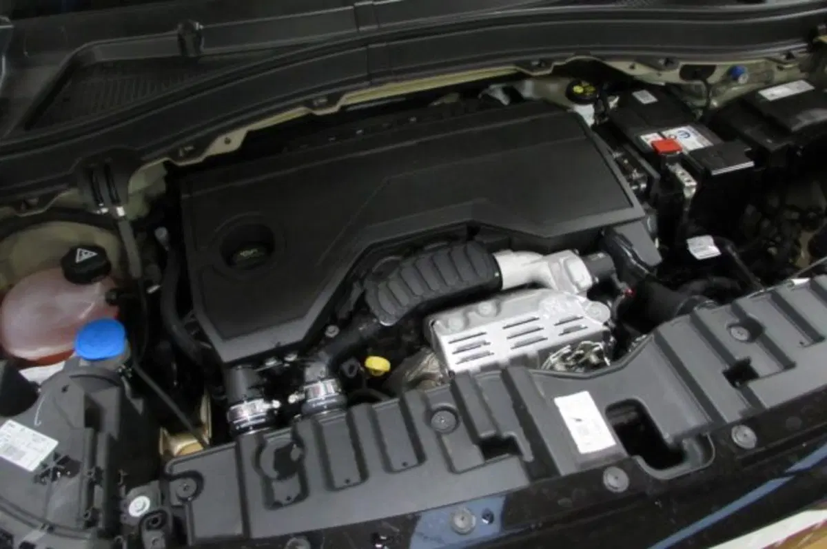 Fiat Grande Panda nuova a Milano (16)