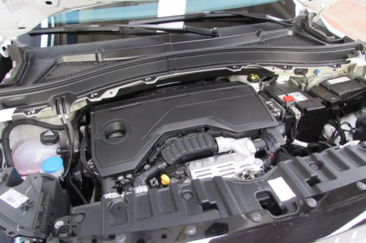 Fiat Grande Panda nuova a Milano (17)