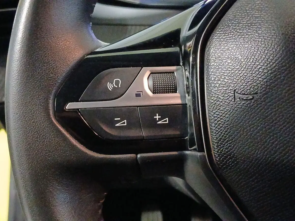 Peugeot 208 usata a Genova (17)