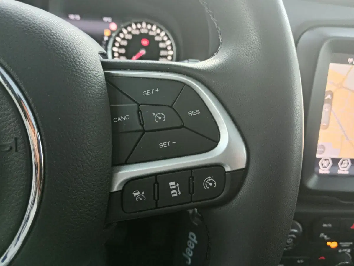 Jeep Renegade usata a Alessandria (14)