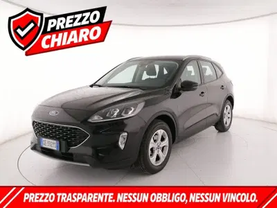 Ford Kuga 1.5 EcoBoost 120 CV 2WD del 2021 usata a Roma