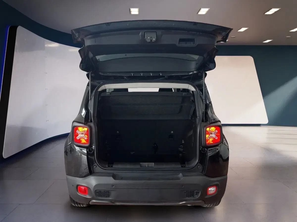 Jeep Renegade usata a Torino (8)