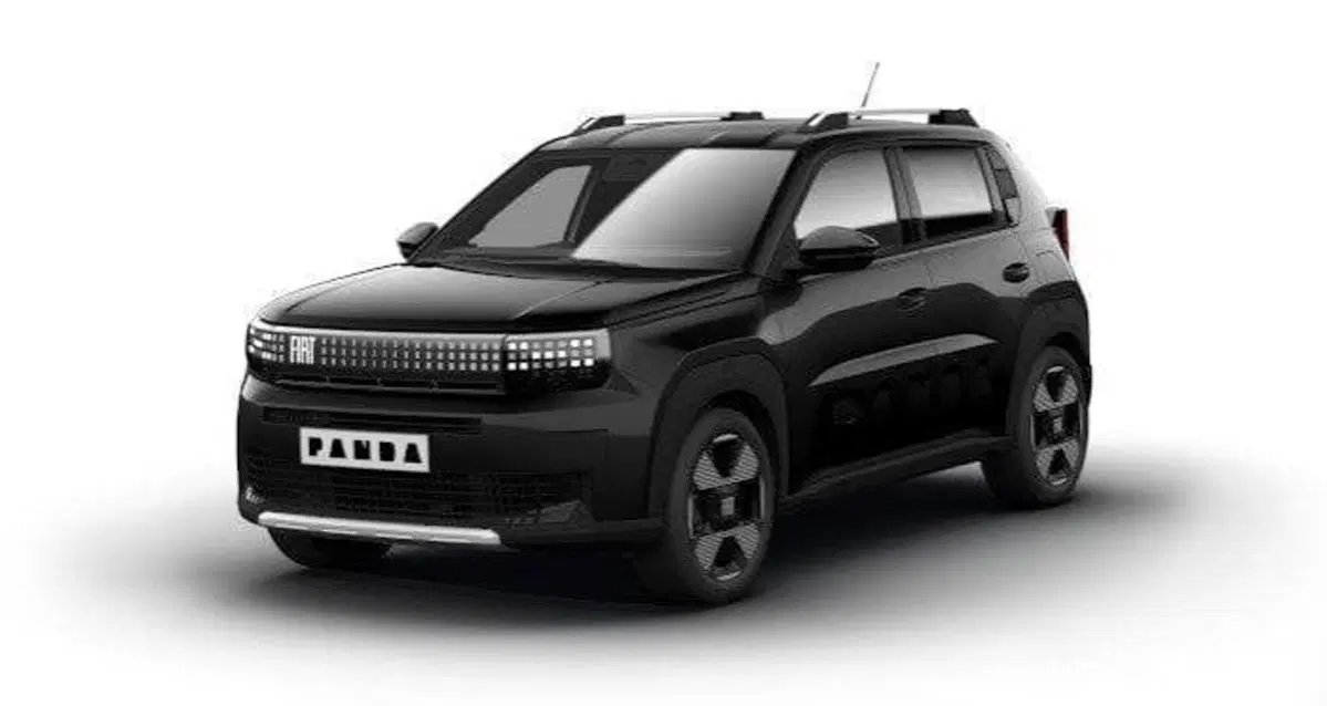 Fiat Grande Panda nuova a Torino