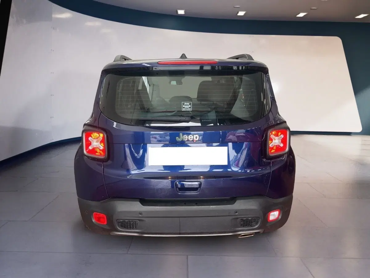 Jeep Renegade usata a Torino (19)