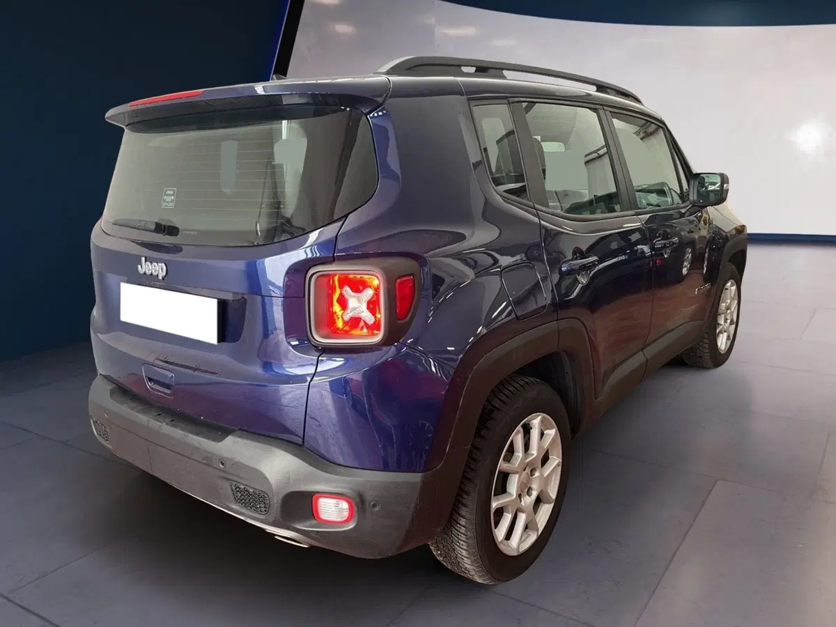 Jeep Renegade usata a Torino (20)