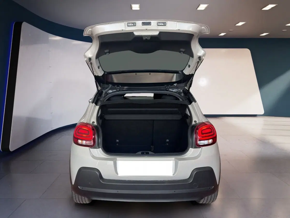 Jeep Renegade usata a Torino (8)