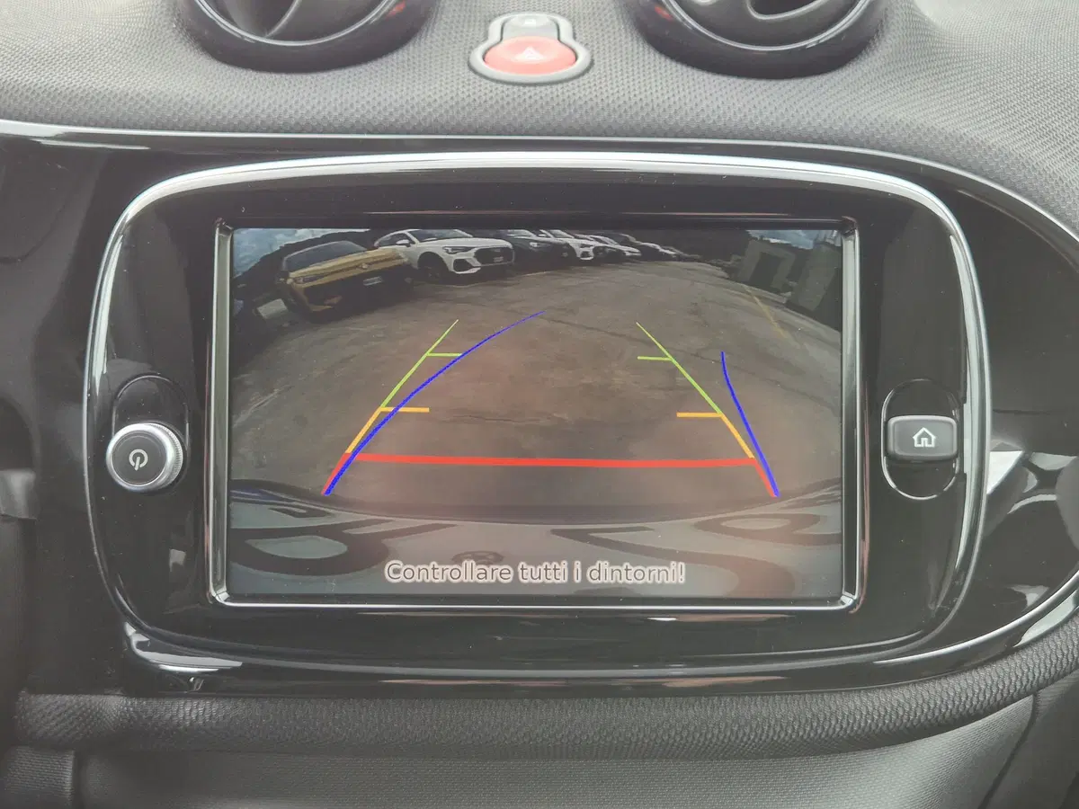 smart Fortwo usata  (11)