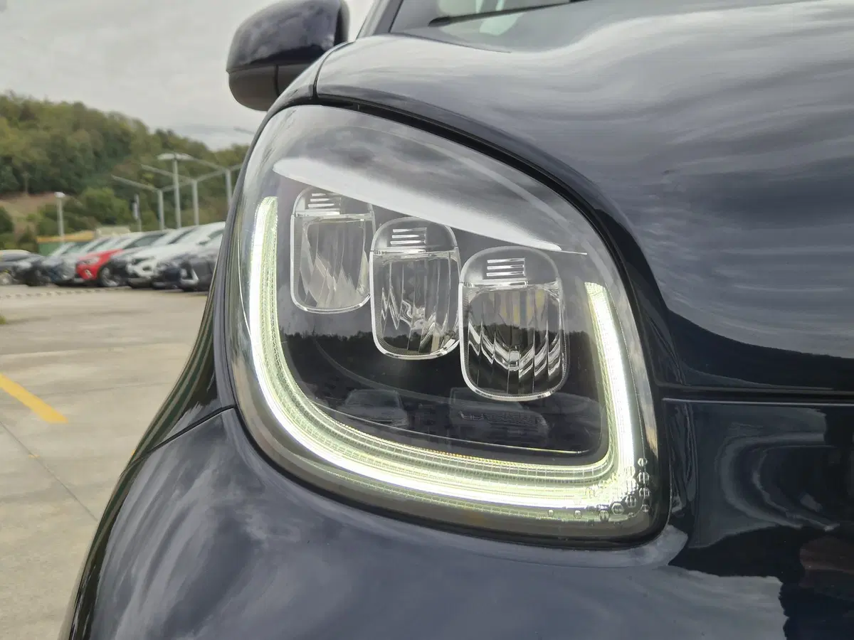 smart Fortwo usata  (12)