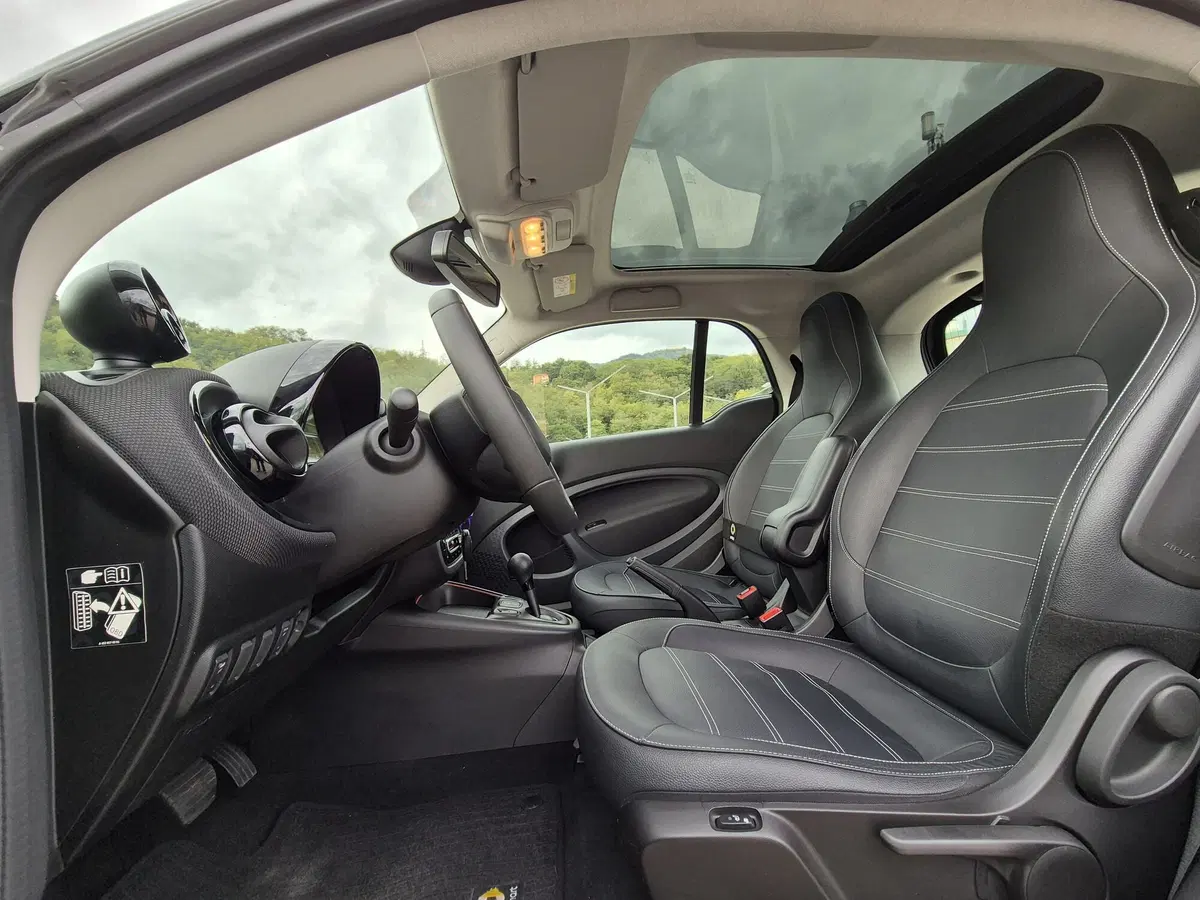 smart Fortwo usata  (14)