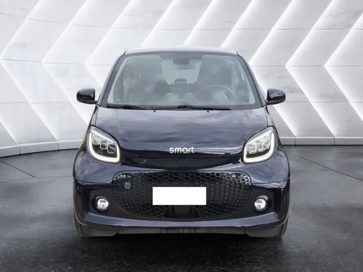 smart Fortwo usata  (2)