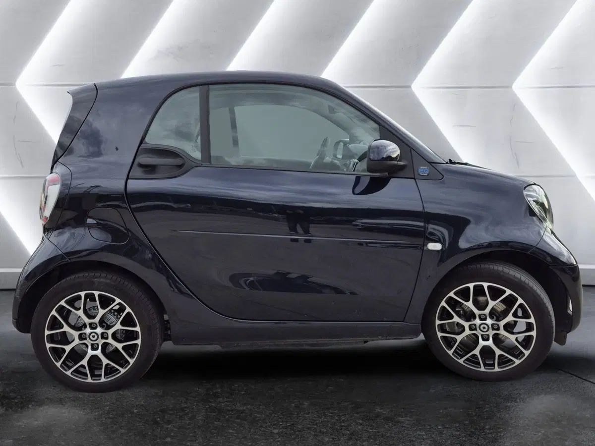 smart Fortwo usata  (3)