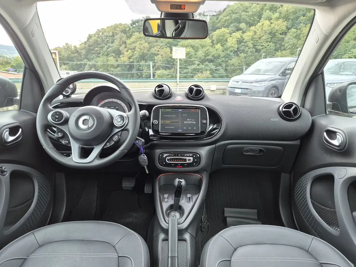 smart Fortwo usata  (5)