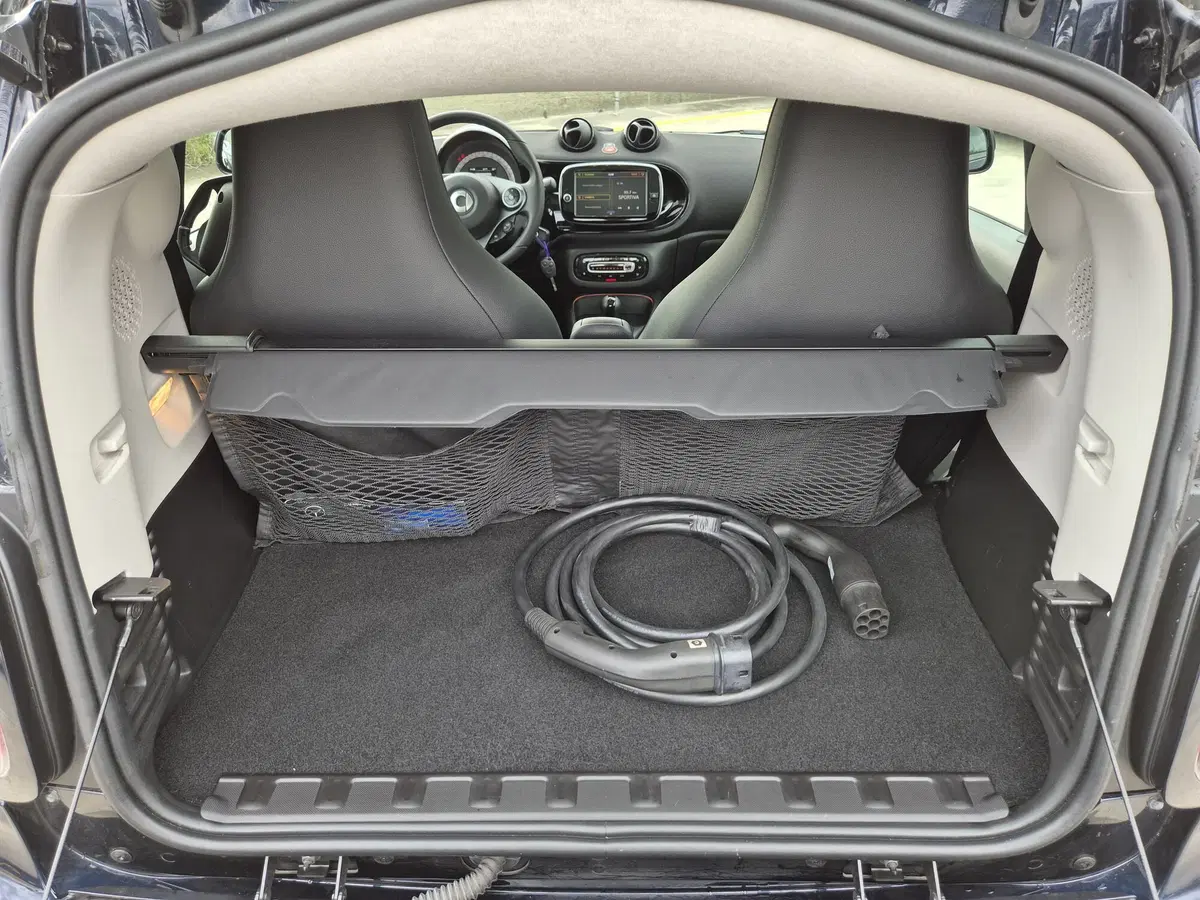 smart Fortwo usata  (8)