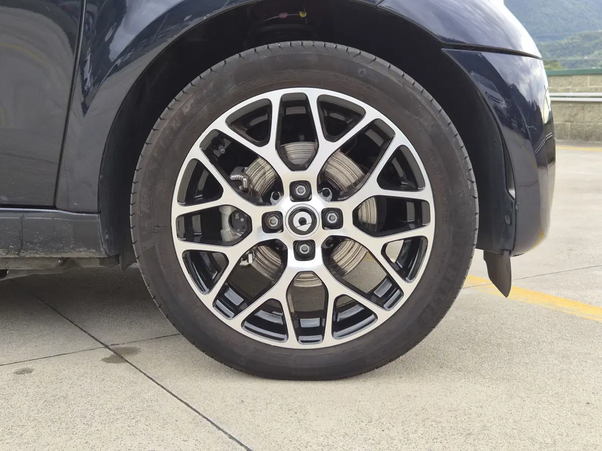 smart Fortwo usata  (9)