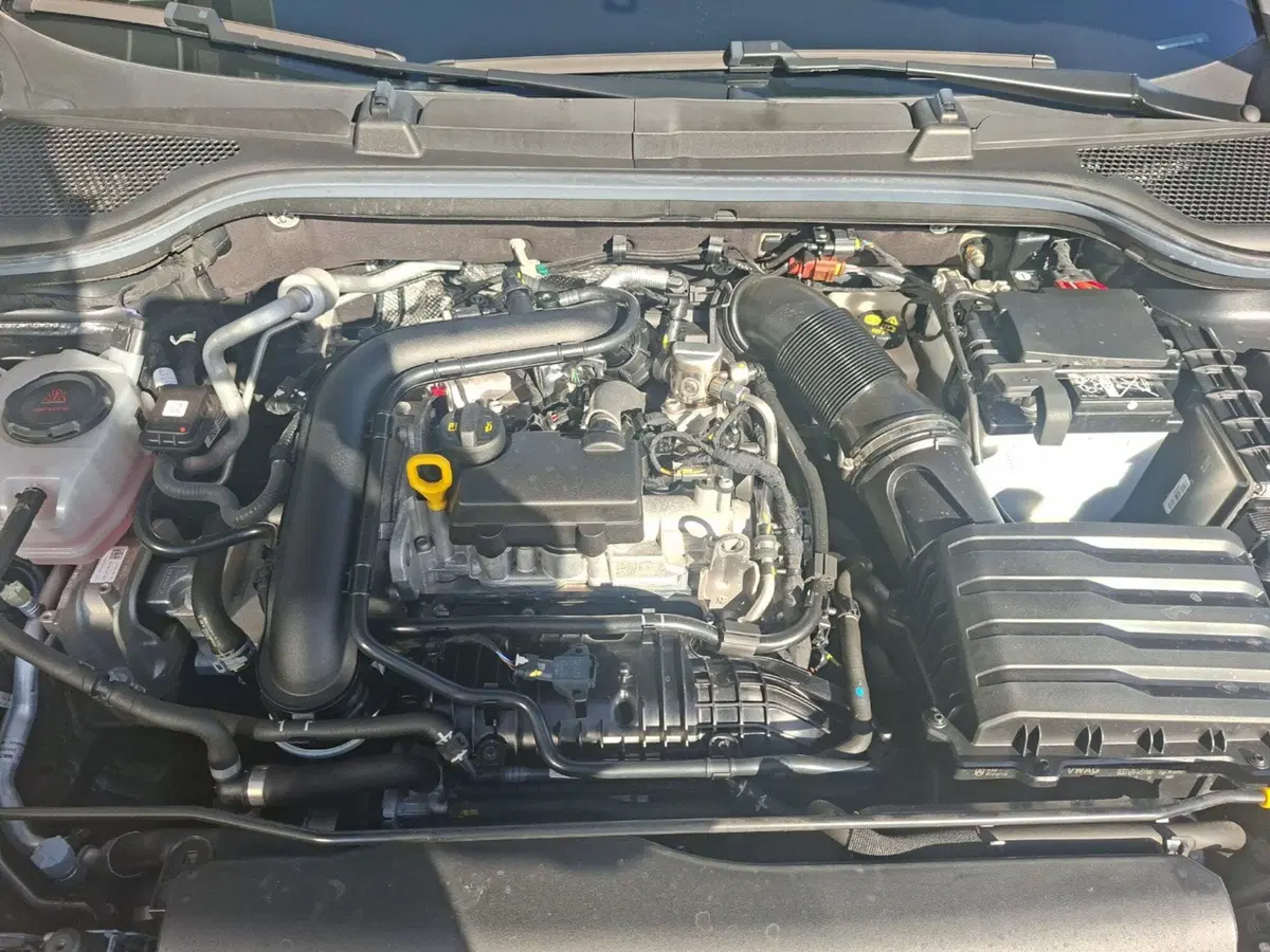 Skoda Kamiq usata a Ancona (13)