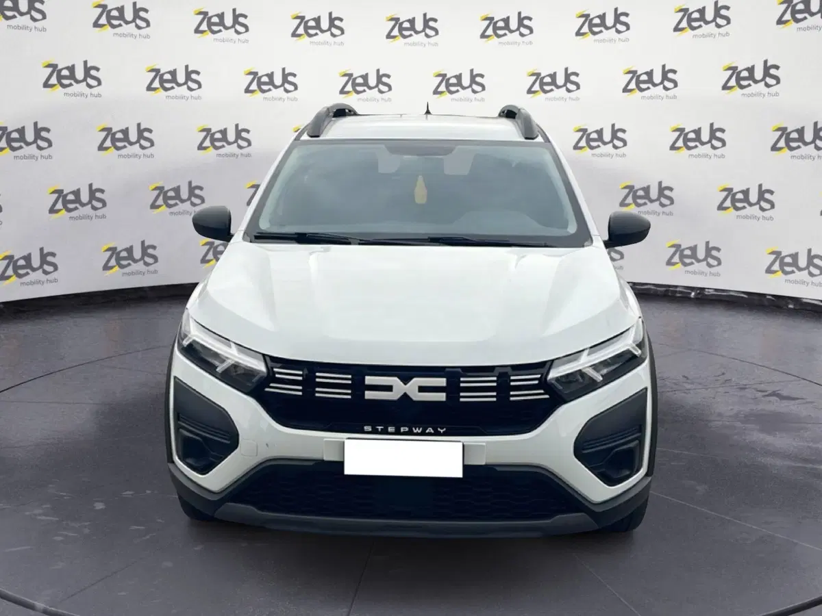 Dacia Sandero usata a Bologna (2)