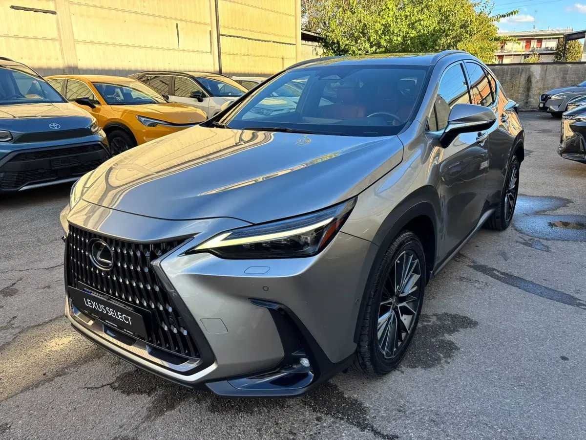 Lexus NX usata a Modena