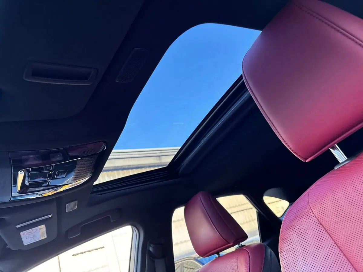Lexus NX usata a Modena (14)