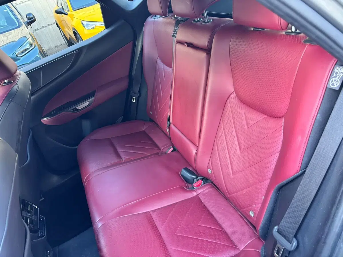 Lexus NX usata a Modena (15)