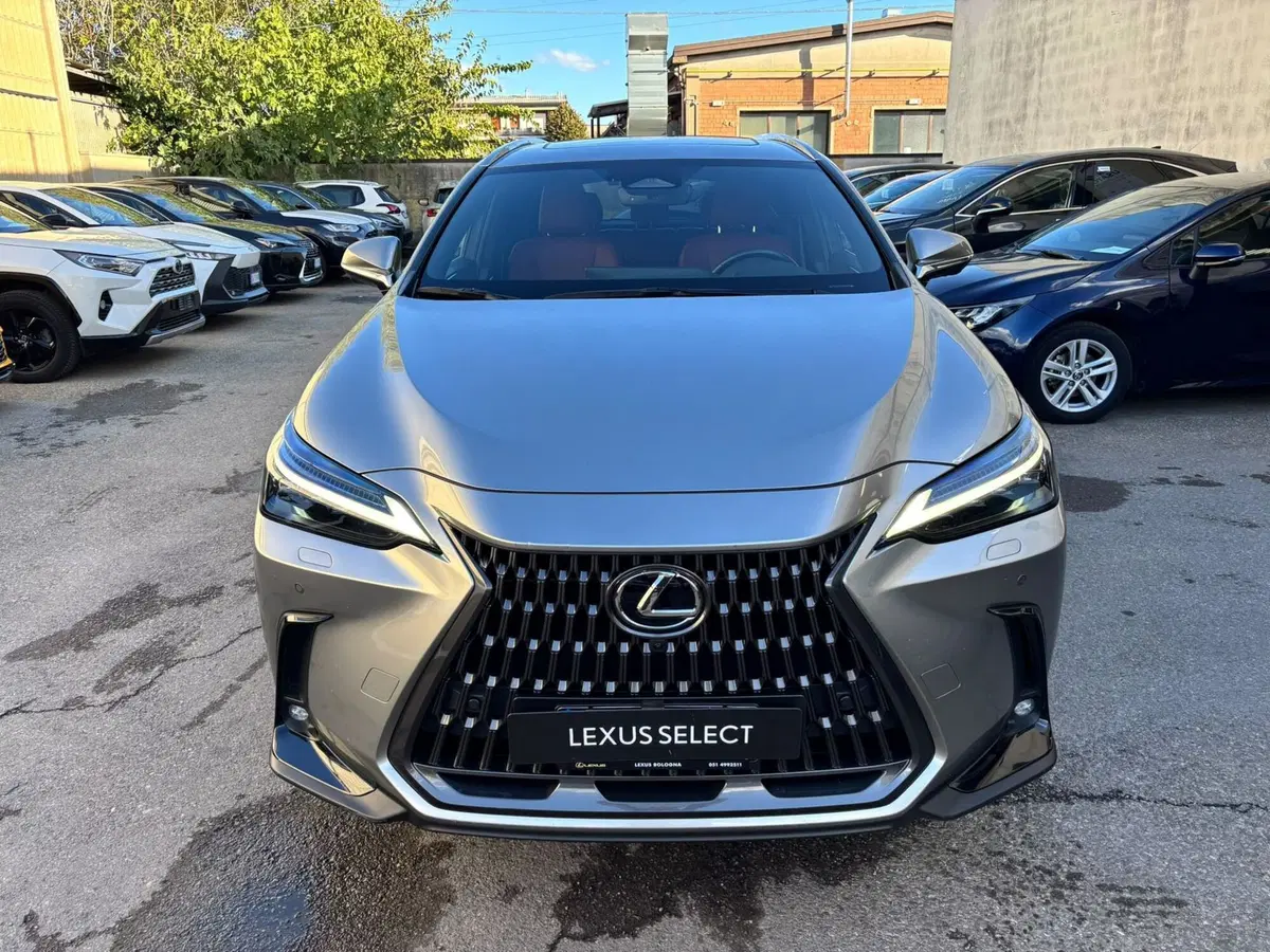 Lexus NX usata a Modena (2)