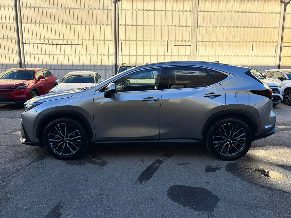 Lexus NX usata a Modena (4)