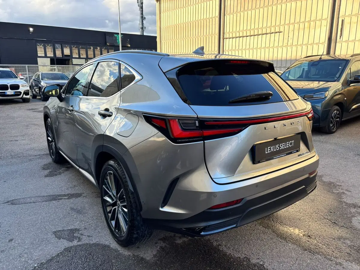 Lexus NX usata a Modena (7)