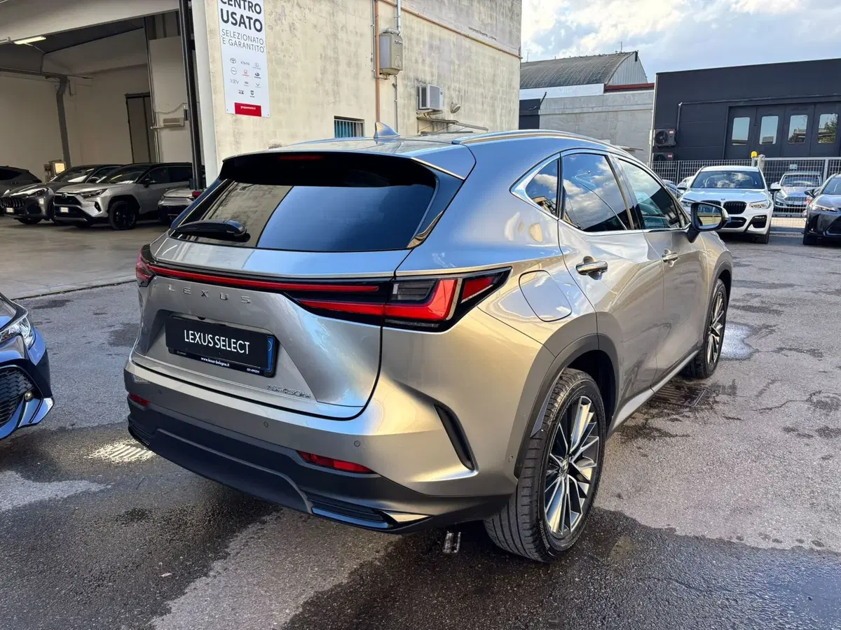 Lexus NX usata a Modena (8)