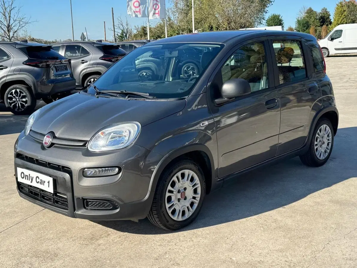 Fiat Panda usata a Ferrara (2)