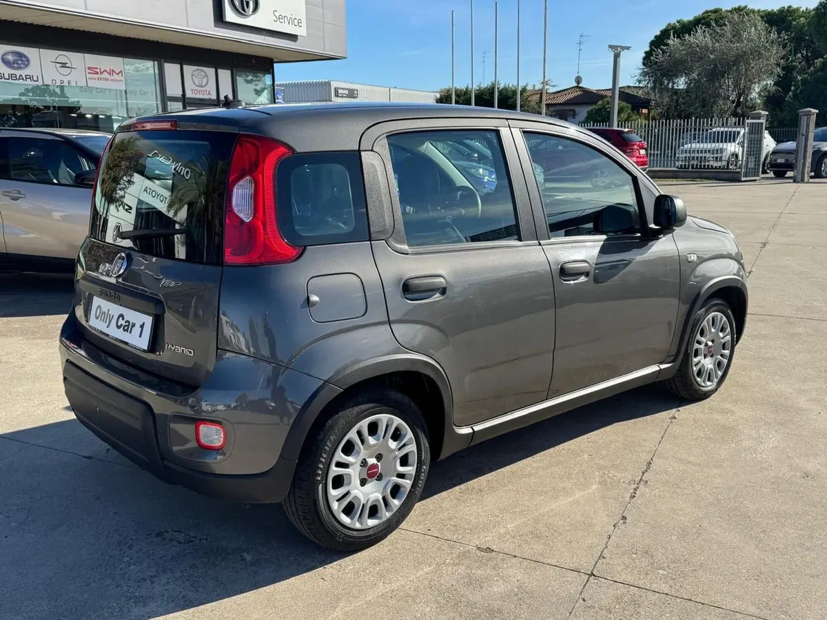 Fiat Panda usata a Ferrara (3)