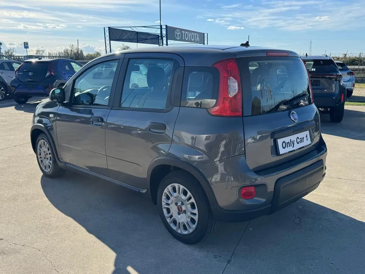 Fiat Panda usata a Ferrara (4)