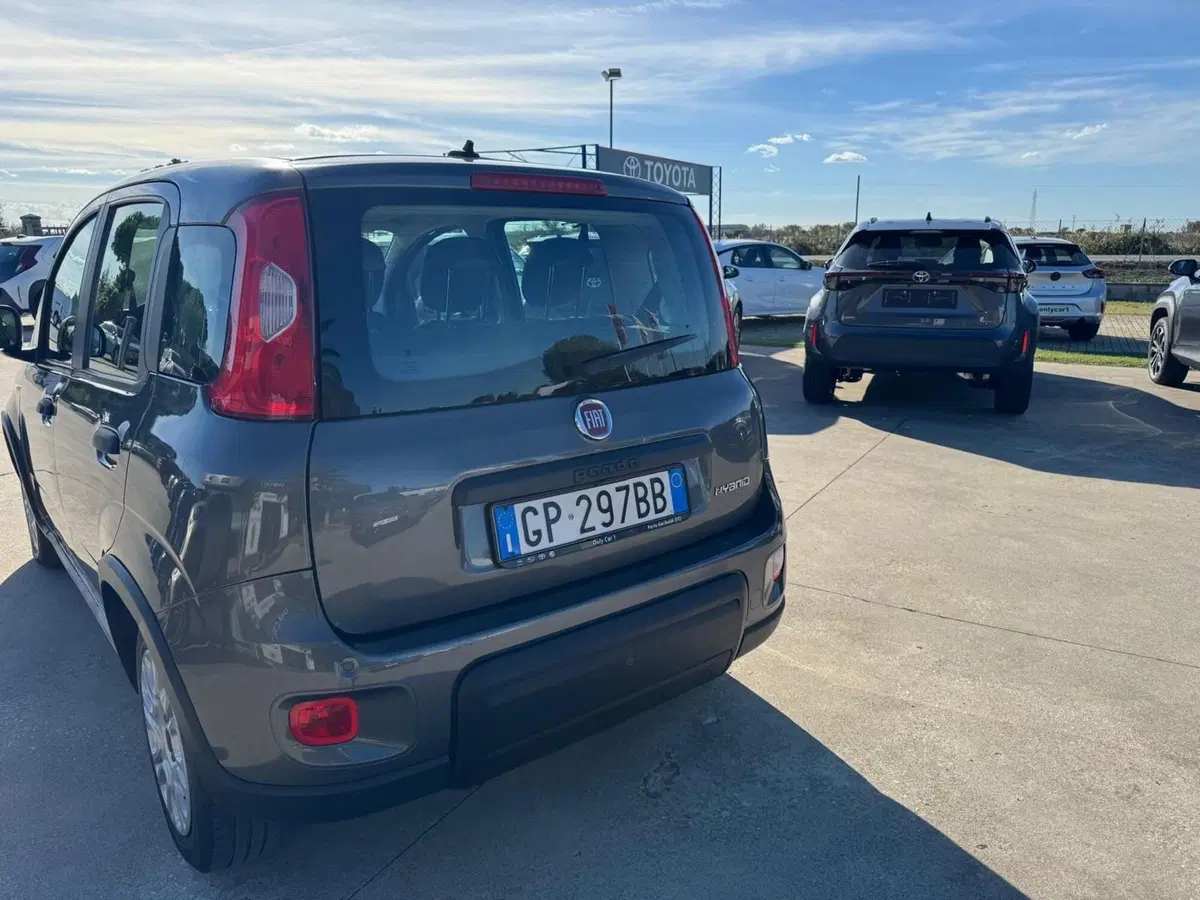 Fiat Panda usata a Ferrara (6)