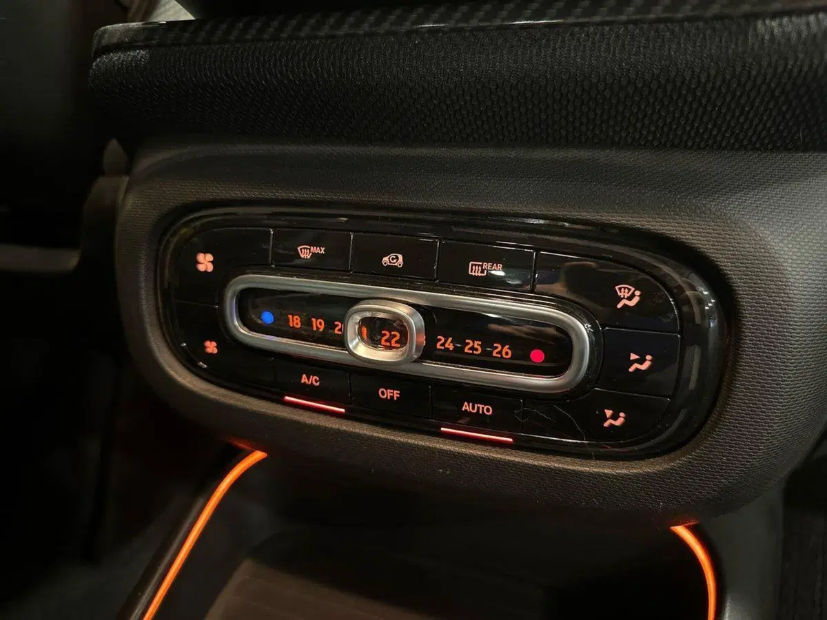 smart Fortwo usata a Monza e Brianza (14)
