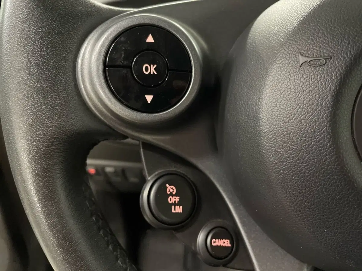 smart Fortwo usata a Ancona (15)