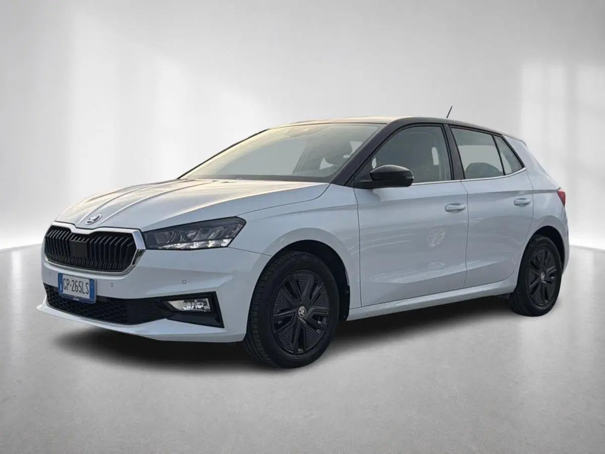 Skoda Fabia usata a Ravenna