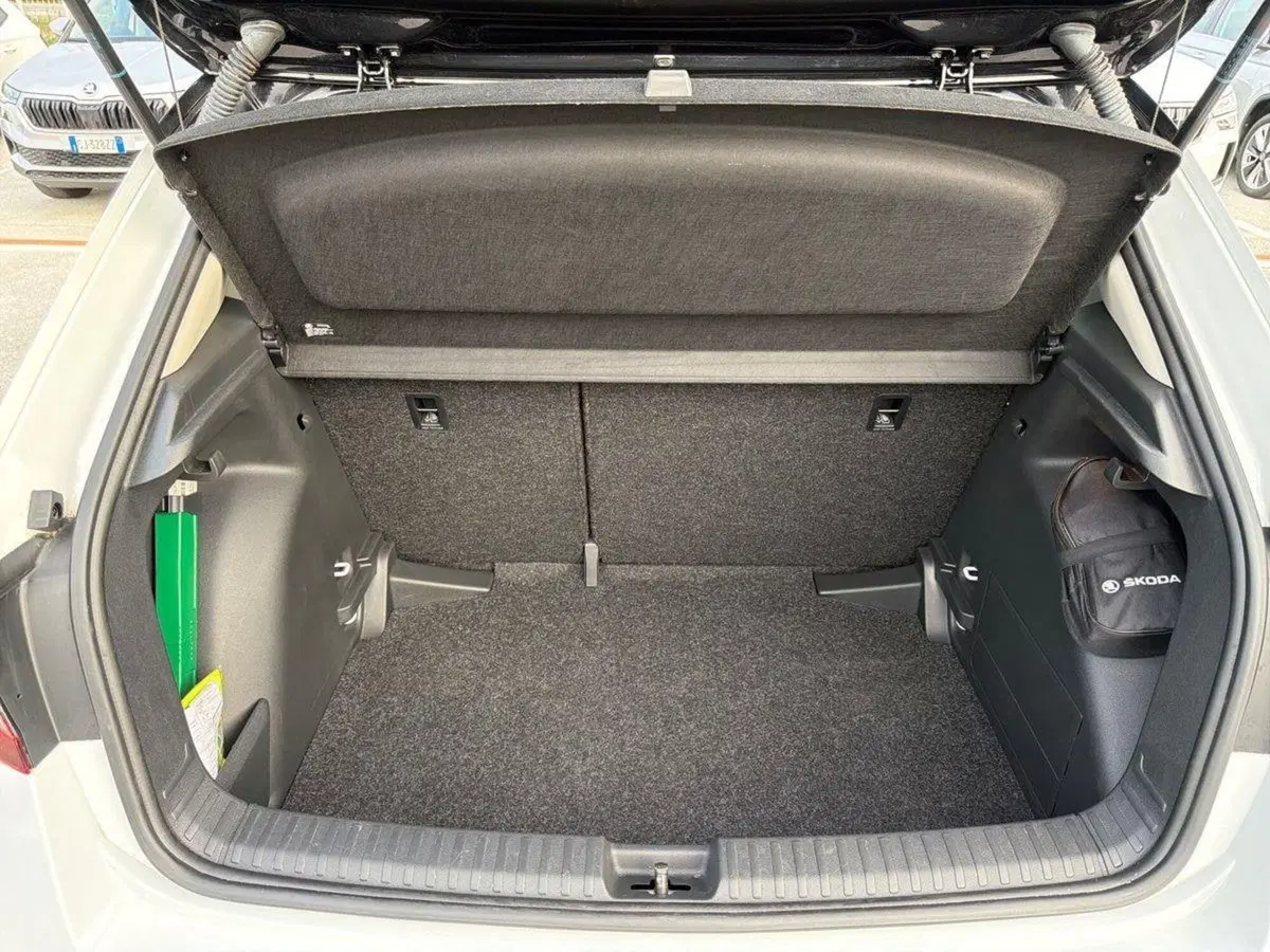 Skoda Fabia usata a Ravenna (14)