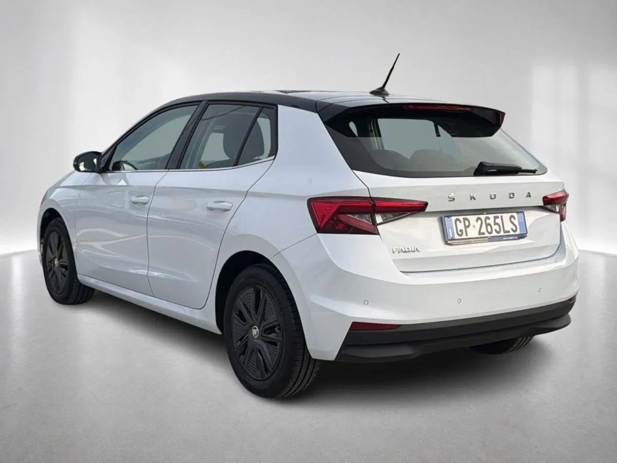 Skoda Fabia usata a Ravenna (2)