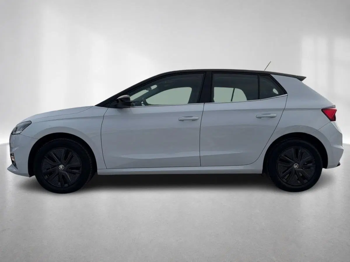 Skoda Fabia usata a Ravenna (3)