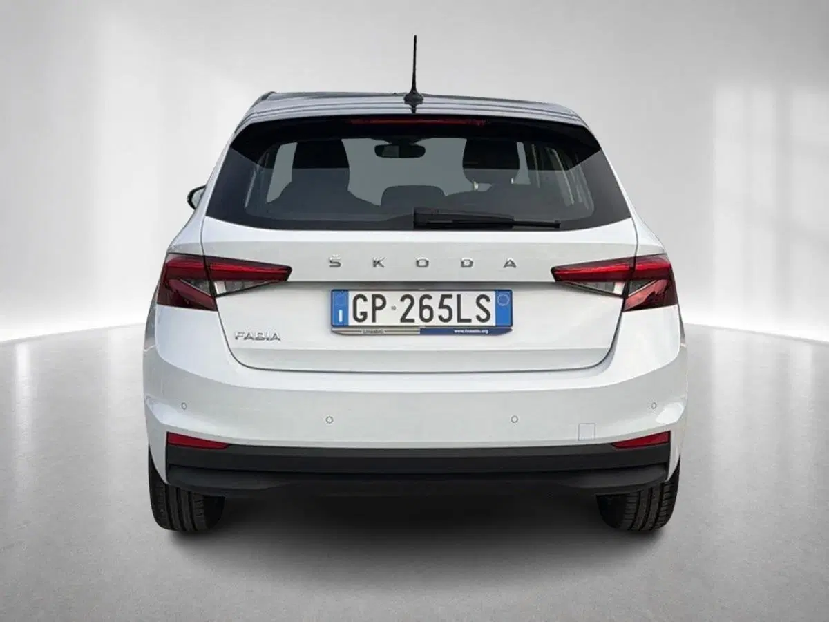 Skoda Fabia usata a Ravenna (8)