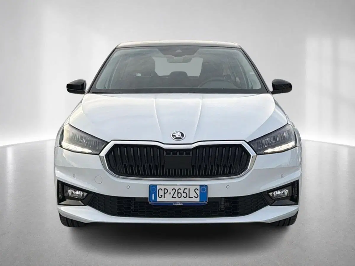 Skoda Fabia usata a Ravenna (9)