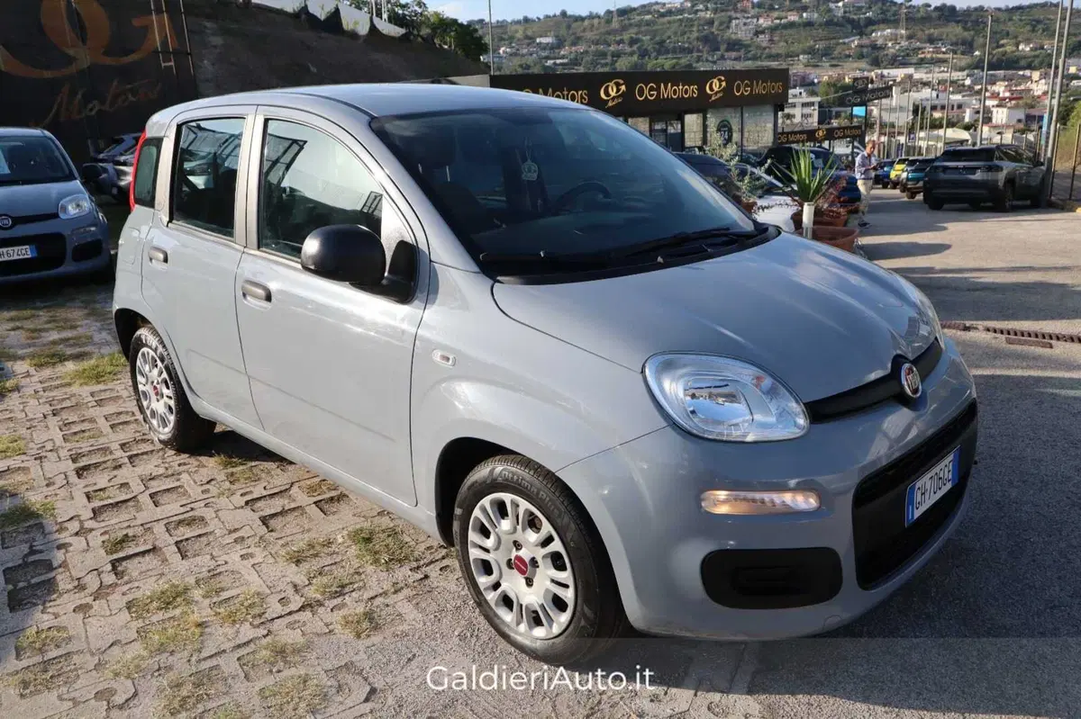 Fiat Panda usata a Salerno (2)