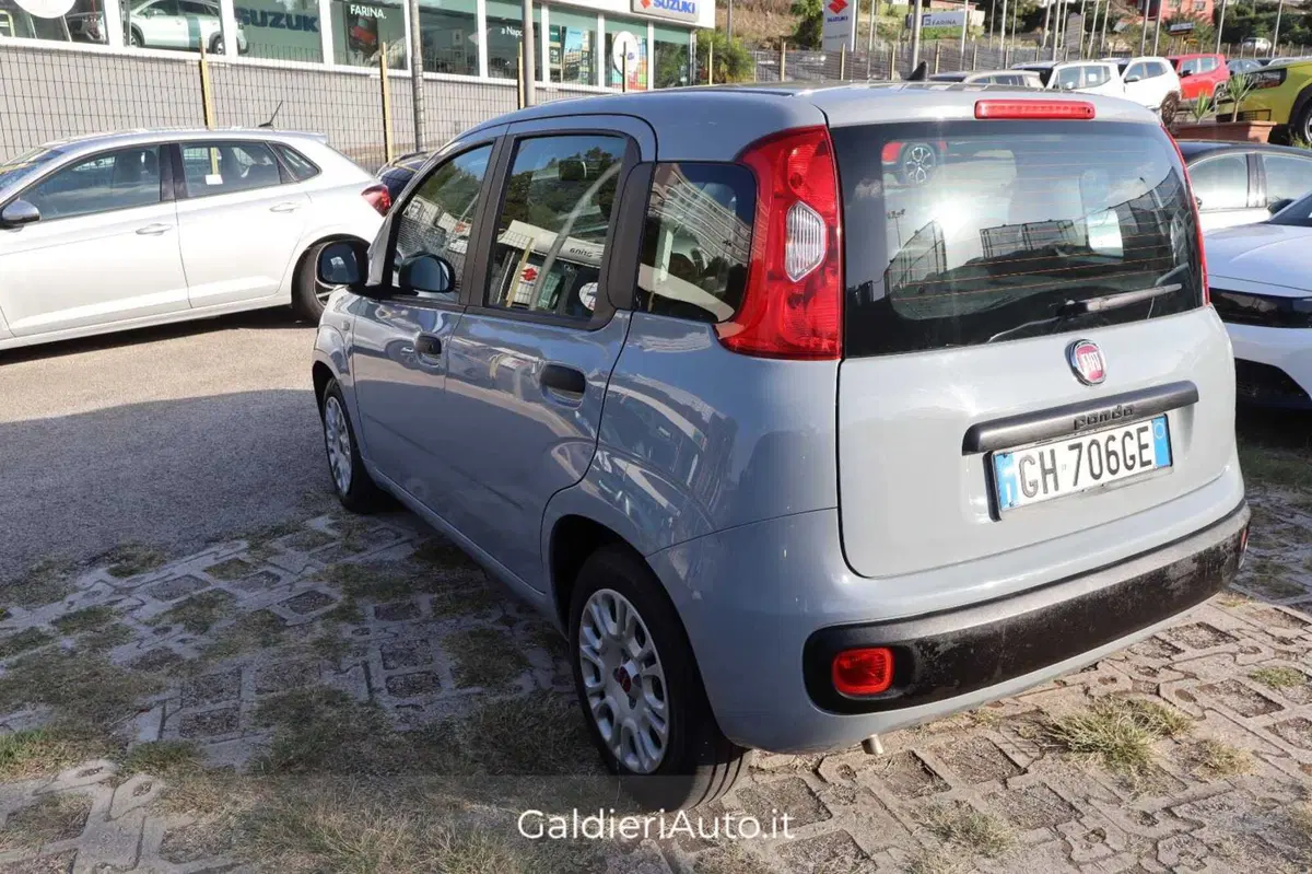 Fiat Panda usata a Salerno (3)
