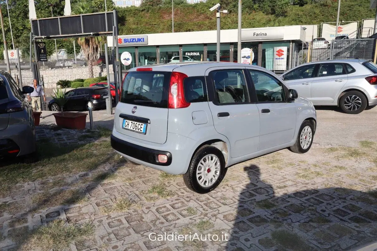 Fiat Panda usata a Salerno (4)