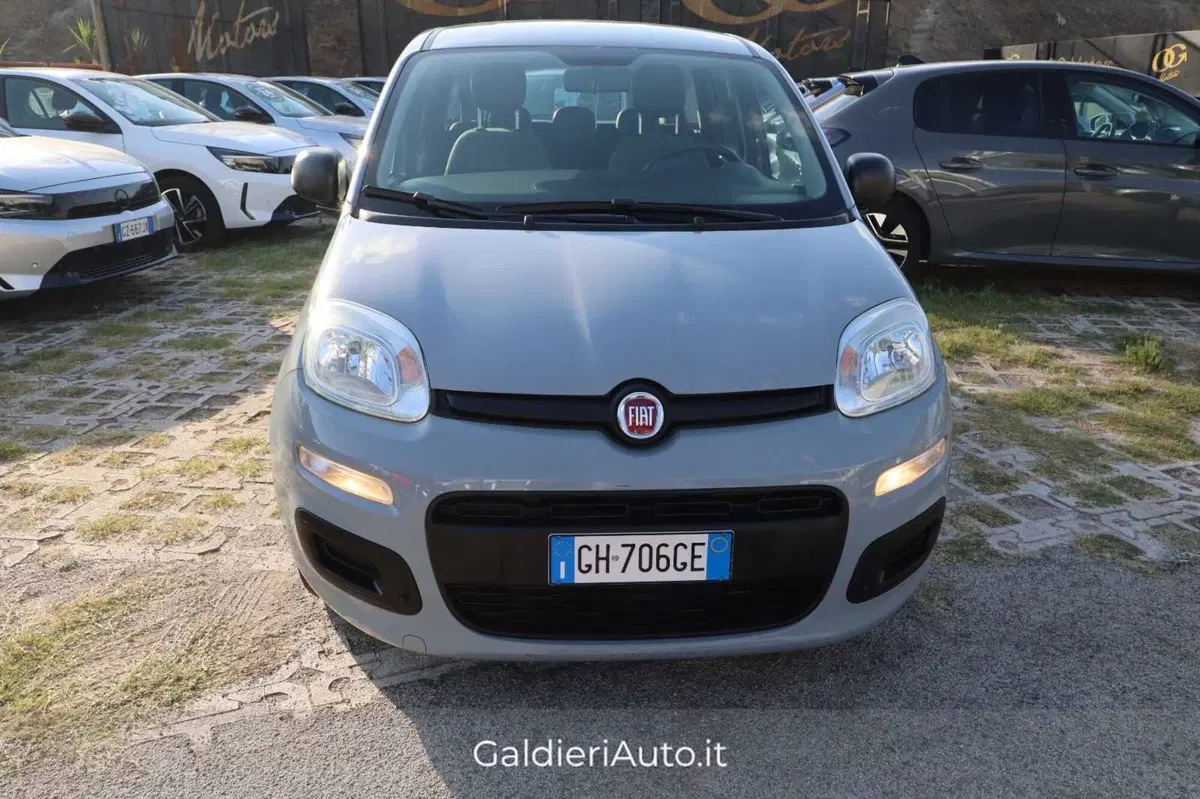 Fiat Panda usata a Salerno (9)