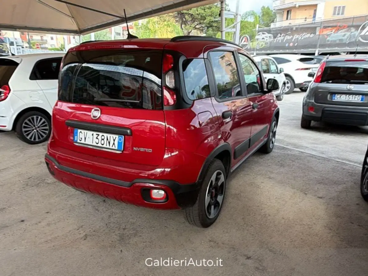 Fiat Panda Cross usata a Salerno (7)