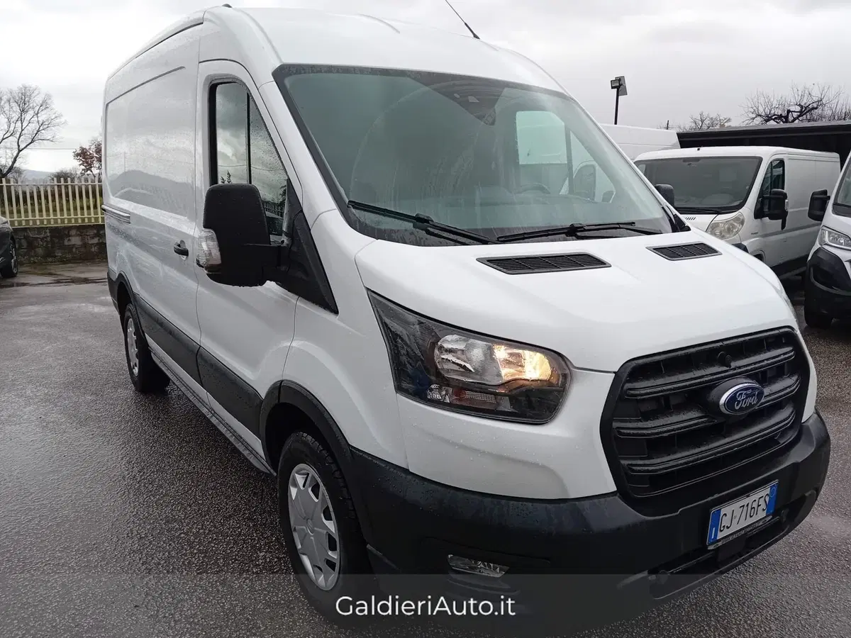 Ford Transit Furgone usata a Salerno (2)